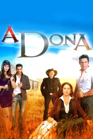 Novela A Dona Todos Capítulos Completos Envio Digital