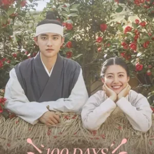 Dorama 100 Days My Prince Todos Capítulos Completos Envio Digital