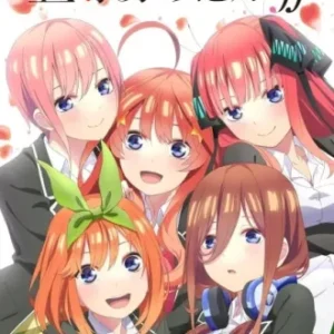 Coleção Digital 5 Tobun no Hanayome Todos Episódios Completo