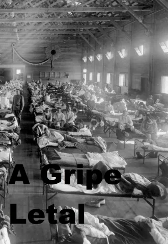 Coleção Digital A Gripe Letal Documentário Completo