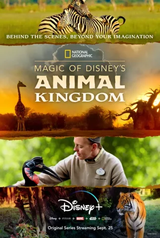 Coleção Digital A Magia Disney do Animal Kingdom Todas Temporadas Completo Dublado