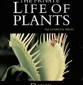 Coleção Digital A Vida Secreta Das Plantas Documentário Completo