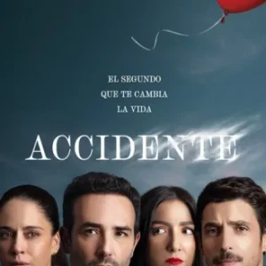 Acidente Todas as Temporadas Completo Dublado