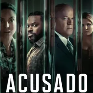 Acusado Todas as Temporadas Completo Dublado