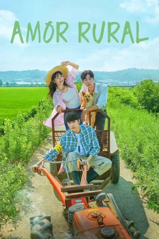 Dorama Amor Rural Todos Capítulos Completos Envio Digital