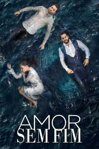 Coleção Digital Amor Sem Fim Todas Temporadas Completo Dublado
