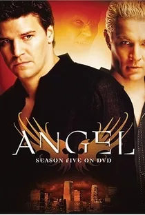 Coleção Digital Angel O Caça Vampiros Todas Temporadas Completo