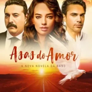 Novela Asas do Amor Todos Capítulos Completos Envio Digital