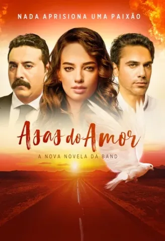Novela Asas do Amor Todos Capítulos Completos Envio Digital