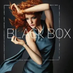 Coleção Digital Black Box Todas Temporadas Completo Dublado