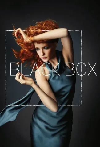 Coleção Digital Black Box Todas Temporadas Completo Dublado