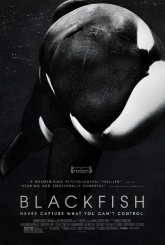 Coleção Digital Blackfish - Fúria Animal Documentário Completo