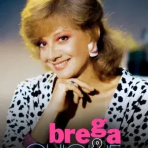 Novela Brega e Chique Todos Capítulos Completos Envio Digital