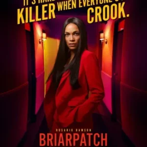 Briarpatch Todas as Temporadas Completo Dublado