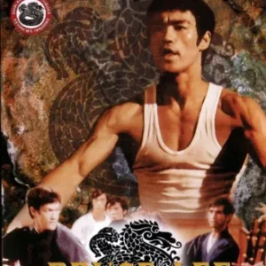 Coleção Digital Bruce Lee - A Lenda Todas Temporadas Completo Dublado