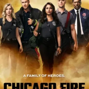 Coleção Digital Chicago Fire Todas Temporadas Completo Dublado