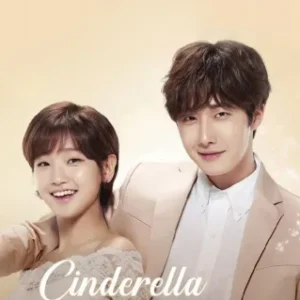 Coleção Digital Cinderella And Four Knights Todas Temporadas Completo Dublado