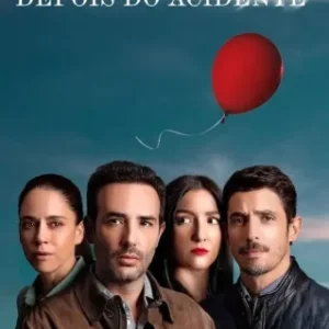 Depois do Acidente Todas as Temporadas Completo Dublado