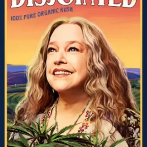Coleção Digital Disjointed Todas Temporadas Completo Dublado
