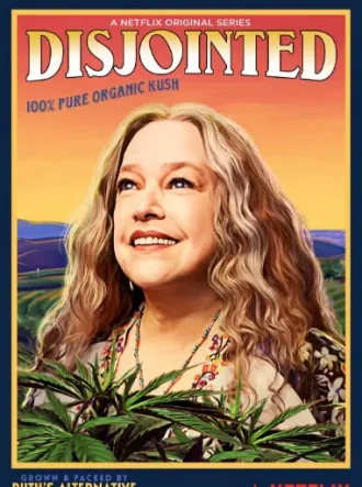 Coleção Digital Disjointed Todas Temporadas Completo Dublado