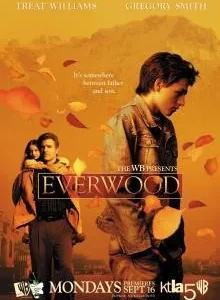 Coleção Digital Everwood Uma Segunda Chance Todas Temporadas Completo