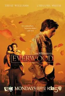 Coleção Digital Everwood Uma Segunda Chance Todas Temporadas Completo