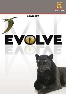 Coleção Digital Evolução history Documentário Completo