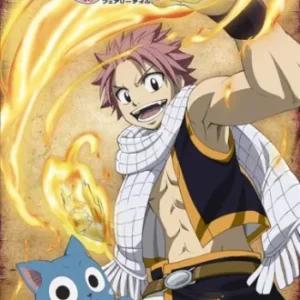Coleção Digital Fairy Tail Todos Episódios Completo