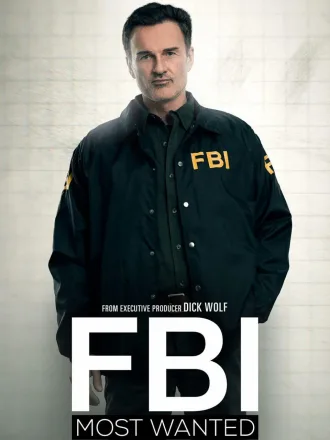 Coleção Digital FBI Most Wanted Todas Temporadas Completo