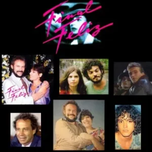 Novela Final Feliz Capítulos Incompletos Envio Digital