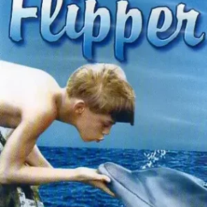 Coleção Digital Flipper Todas Temporadas Completo