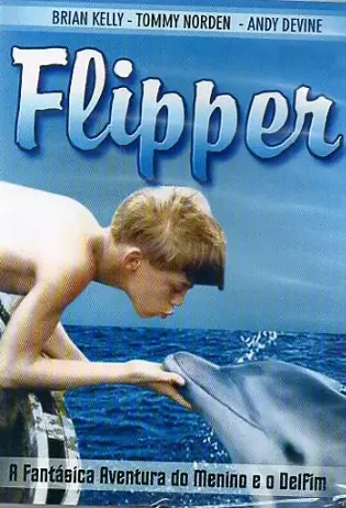 Coleção Digital Flipper Todas Temporadas Completo