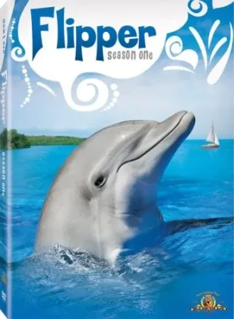 Coleção Digital Flipper Todas Temporadas Completo Dublado