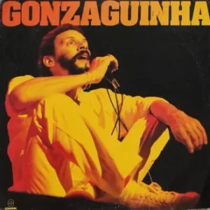 Gonzaguinha Discografia Completa Todas as Músicas e Discos
