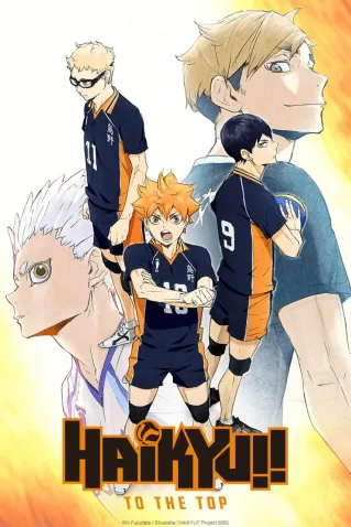 Coleção Digital Haikyuu!! Todos Episódios Completo