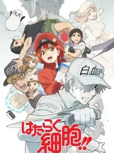 Coleção Digital Hataraku Saibou Todos Episódios Completo