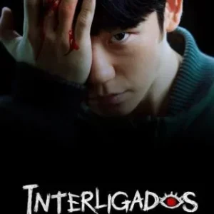 Coleção Digital Interligados Todas Temporadas Completo Dublado