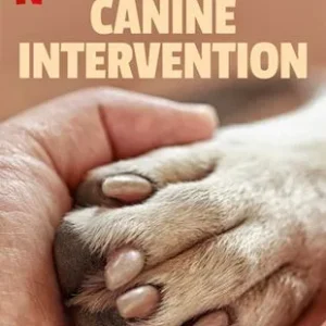 Coleção Digital Intervenção Canina Todas Temporadas Completo