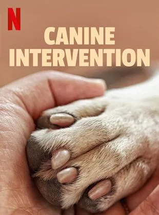 Coleção Digital Intervenção Canina Todas Temporadas Completo