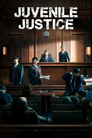 Dorama Juvenile Justice Todos Capítulos Completos Envio Digital