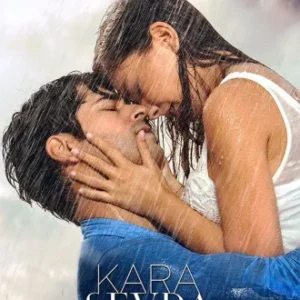 Novela Kara Sevda Todos Capítulos Completos Envio Digital