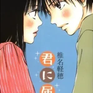 Coleção Digital Kimi Ni Todoke Todos Episódios Completo