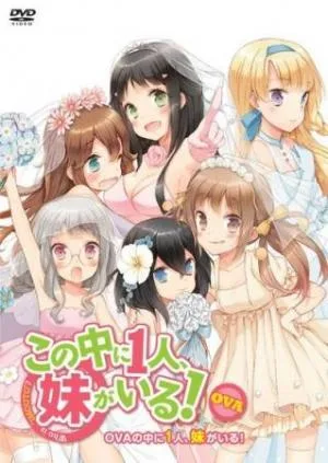 Coleção Digital Kono Naka Ni Hitori Completo