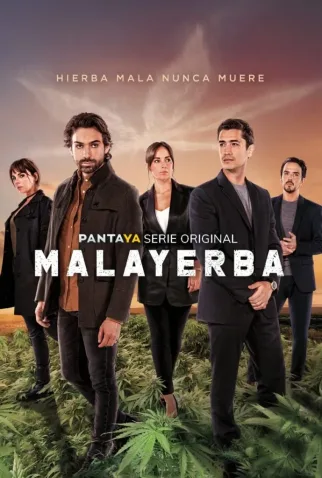 Coleção Digital MalaYerba Todas Temporadas Completo Dublado