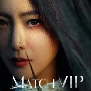 Dorama Match VIP Todos Capítulos Completos Envio Digital