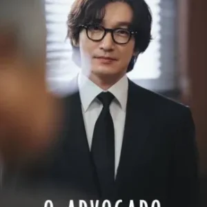 Coleção Digital O Advogado De Divórciov Todas Temporadas Completo Dublado