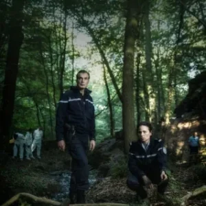 Coleção Digital O Bosque Todas Temporadas Completo Dublado