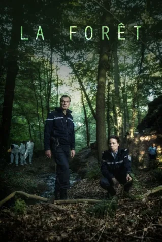 Coleção Digital O Bosque Todas Temporadas Completo Dublado