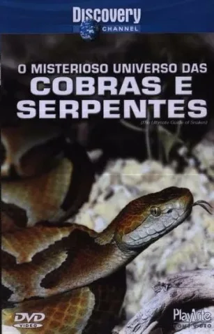 Coleção Digital O Misterioso Universo Das Cobras E Serpentes Documentário Completo