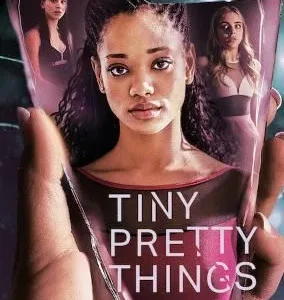 Coleção Digital O Preço da Perfeição Todas Temporadas Completo